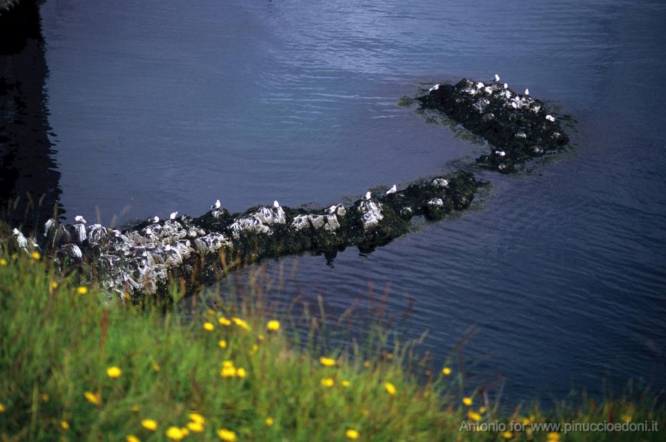 ISLANDA Meraviglie della natura 036R97-143 Pin.jpg